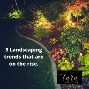 5 Landscaping Trends That Are on the Rise
