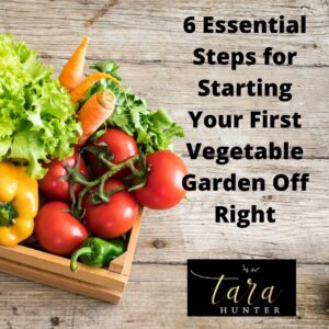 6 Essential Steps for Starting Your First Vegetable Garden Off Right