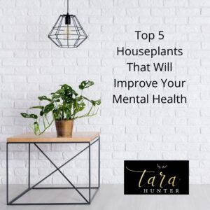 Top 5 Houseplants That Will Improve Your Mental Health