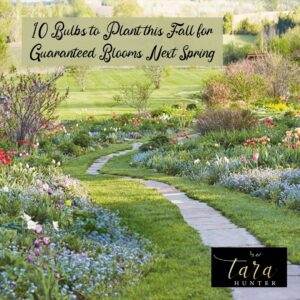 10 bulbs to plant this fall for guaranteed blooms next spring