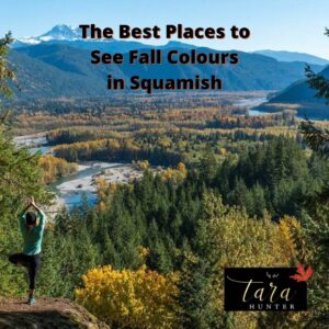 The Best Places to See Fall Colours in Squamish