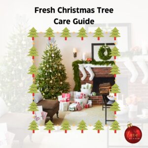 Fresh Christmas Tree Care Guide
